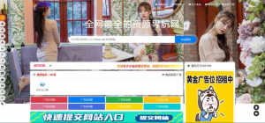 总裁导航系统2022最新版本开源-小程同学