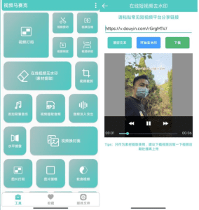 视频马赛克 主流短视频处理工具-小程同学