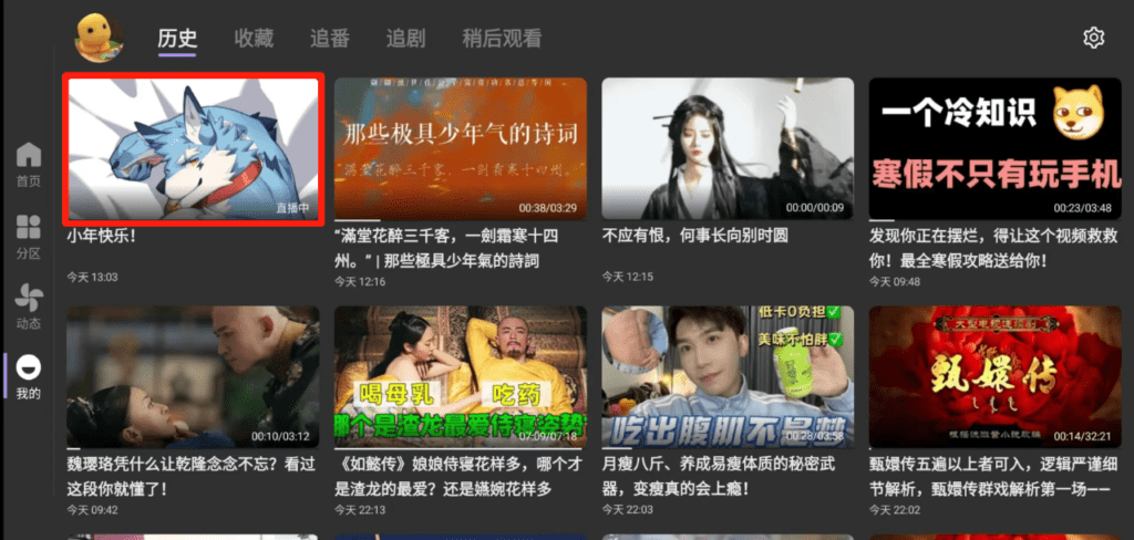 图片[9]-第三方哔哩哔哩TV版BBLL『安卓/TV』-小程同学